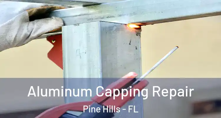  Aluminum Capping Repair Pine Hills - FL