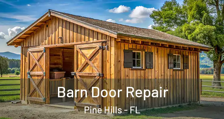  Barn Door Repair Pine Hills - FL