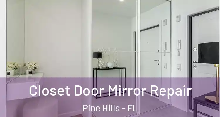  Closet Door Mirror Repair Pine Hills - FL