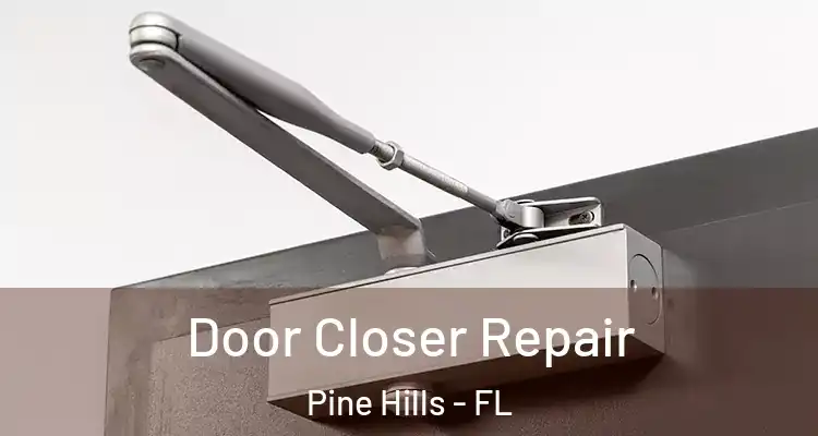  Door Closer Repair Pine Hills - FL