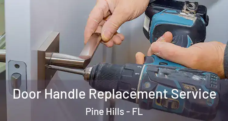  Door Handle Replacement Service Pine Hills - FL