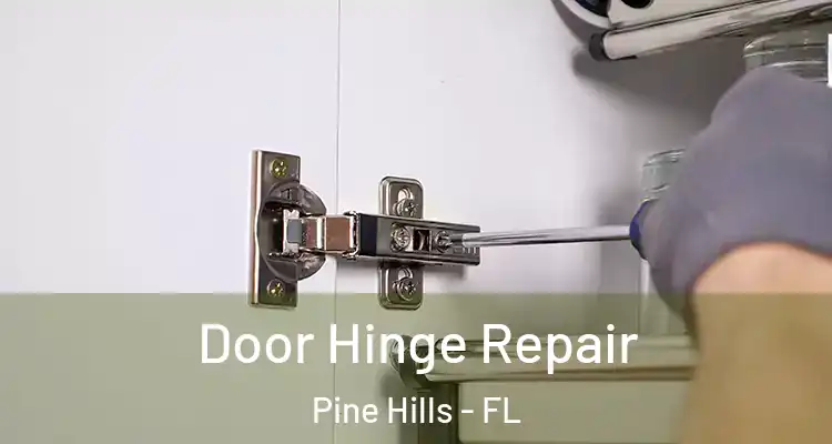  Door Hinge Repair Pine Hills - FL