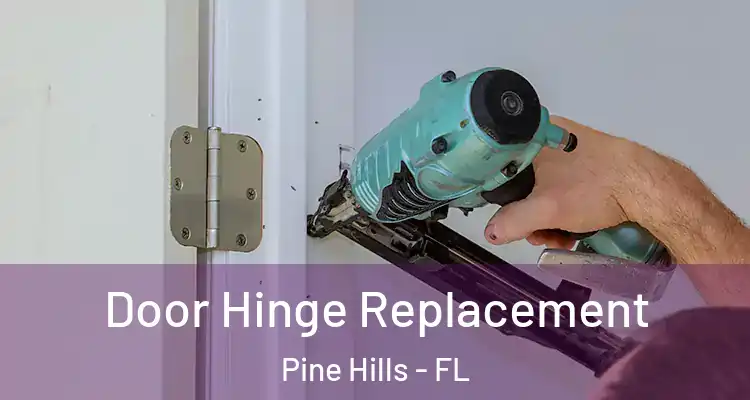  Door Hinge Replacement Pine Hills - FL