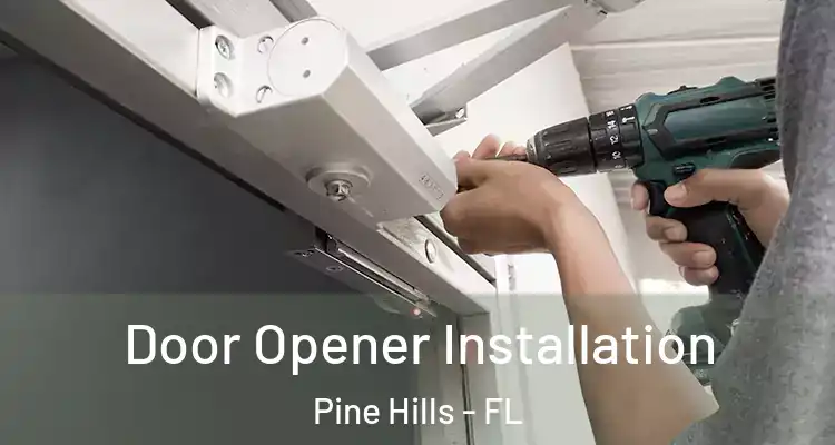  Door Opener Installation Pine Hills - FL