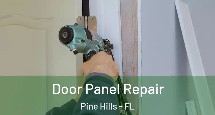  Door Panel Repair Pine Hills - FL