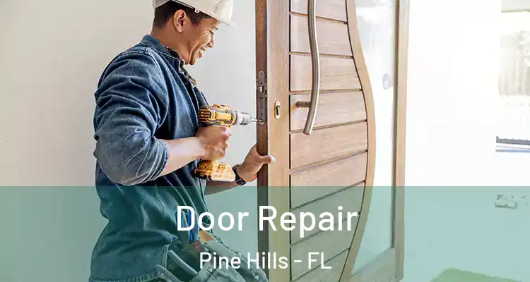  Door Repair Pine Hills - FL
