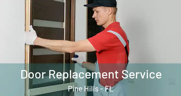  Door Replacement Service Pine Hills - FL