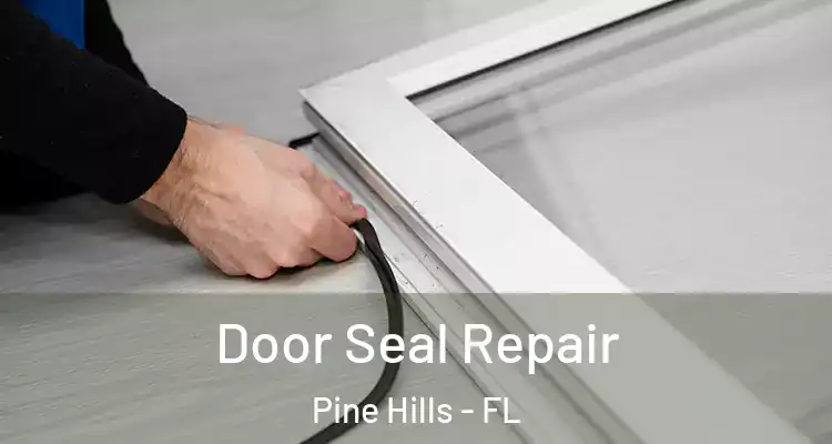  Door Seal Repair Pine Hills - FL