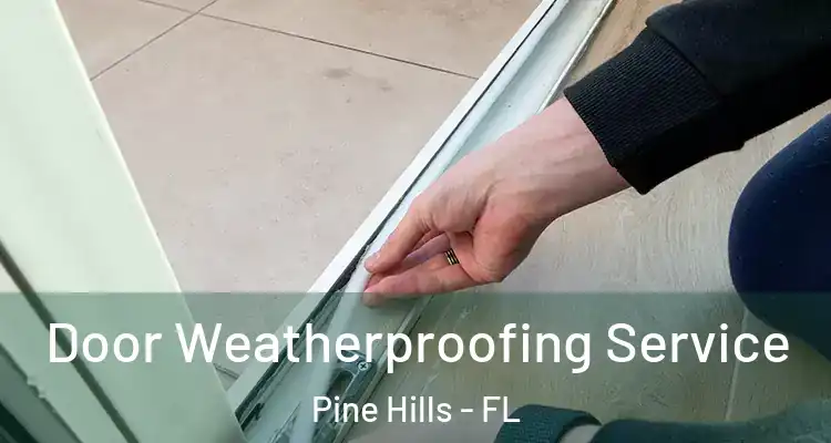  Door Weatherproofing Service Pine Hills - FL