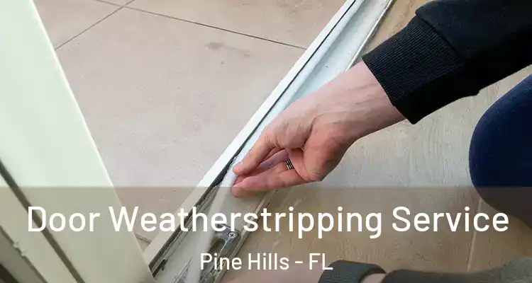  Door Weatherstripping Service Pine Hills - FL