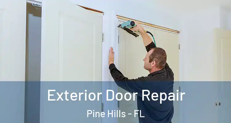  Exterior Door Repair Pine Hills - FL