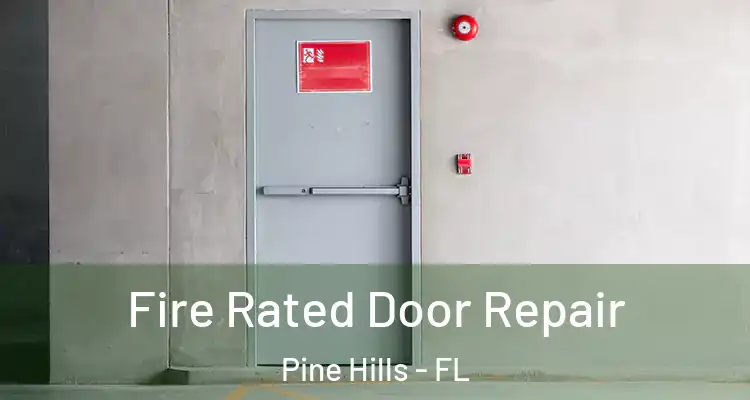  Fire Rated Door Repair Pine Hills - FL