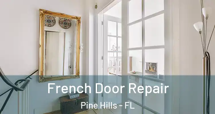  French Door Repair Pine Hills - FL