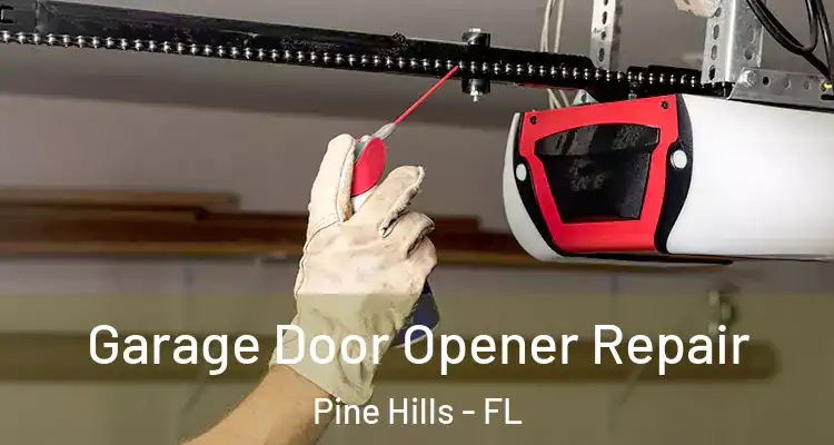  Garage Door Opener Repair Pine Hills - FL