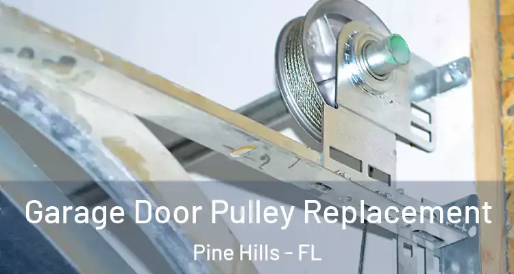  Garage Door Pulley Replacement Pine Hills - FL