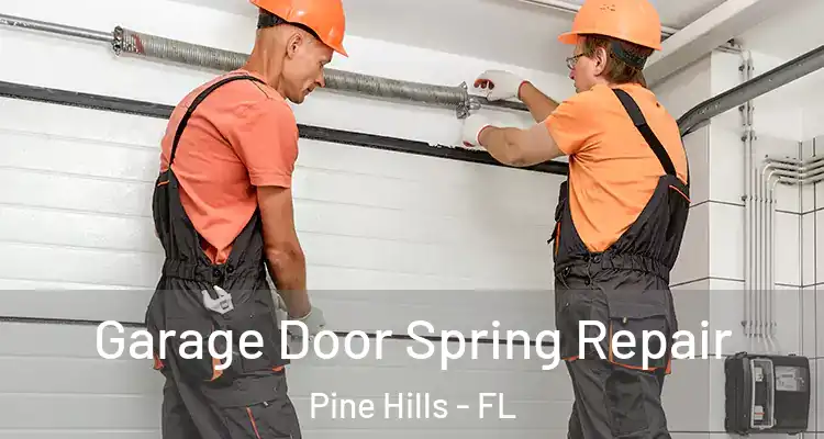  Garage Door Spring Repair Pine Hills - FL