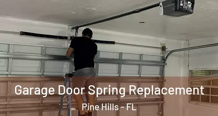  Garage Door Spring Replacement Pine Hills - FL