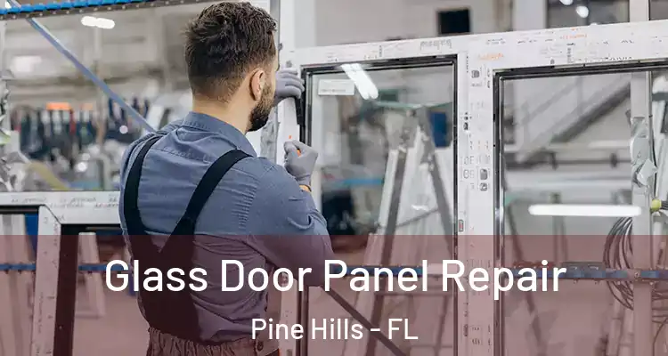  Glass Door Panel Repair Pine Hills - FL