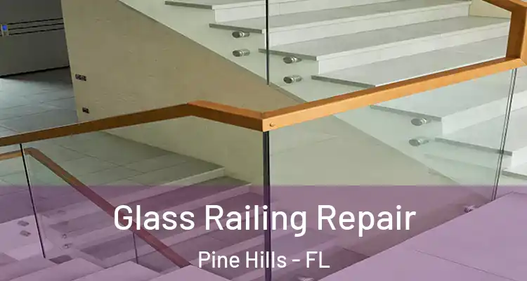  Glass Railing Repair Pine Hills - FL