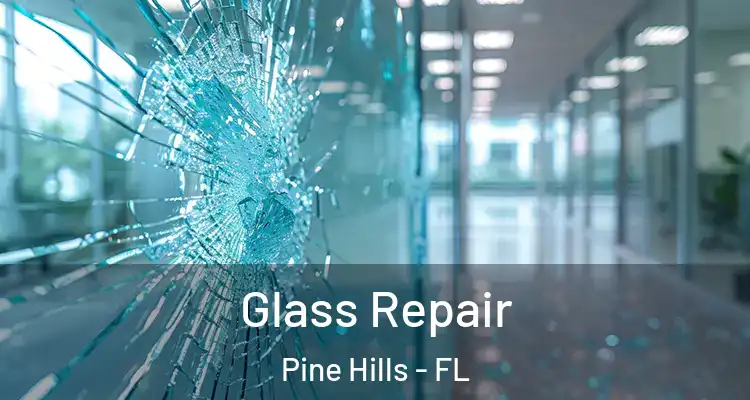  Glass Repair Pine Hills - FL