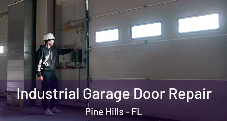  Industrial Garage Door Repair Pine Hills - FL