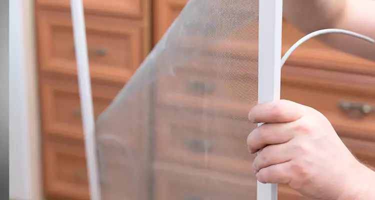 Privacy Mesh Screen Door Installation in Pine Hills, FL