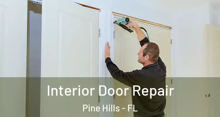  Interior Door Repair Pine Hills - FL