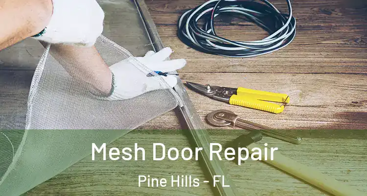  Mesh Door Repair Pine Hills - FL