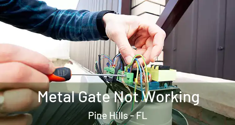  Metal Gate Not Working Pine Hills - FL