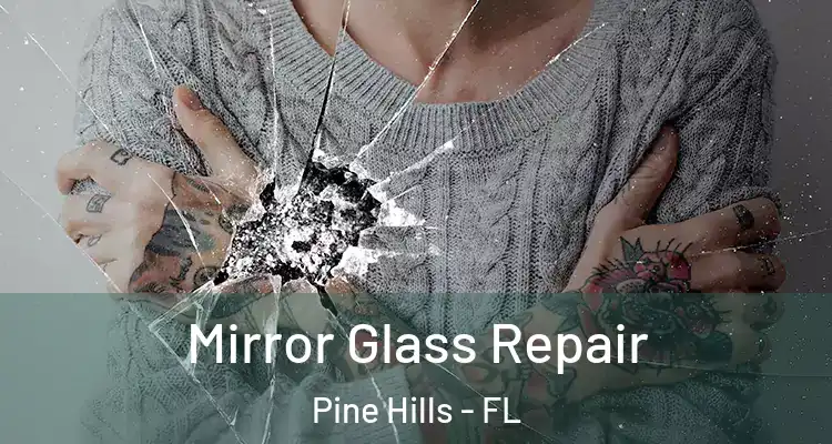  Mirror Glass Repair Pine Hills - FL