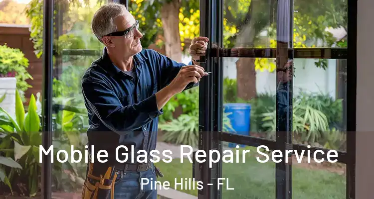  Mobile Glass Repair Service Pine Hills - FL