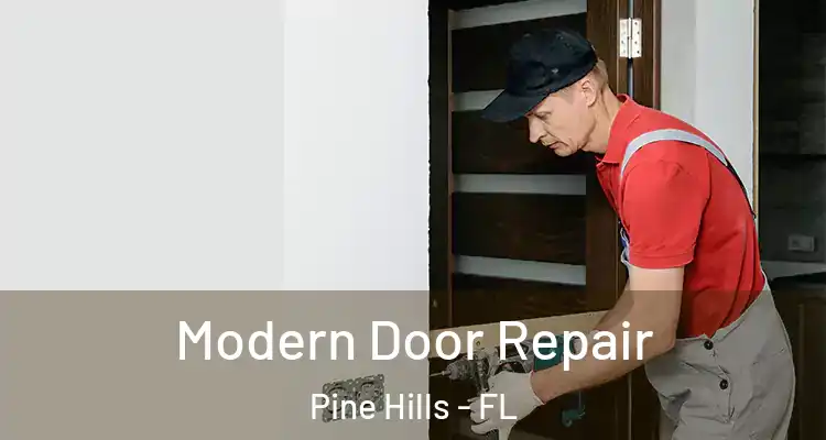  Modern Door Repair Pine Hills - FL