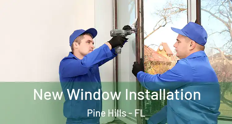  New Window Installation Pine Hills - FL