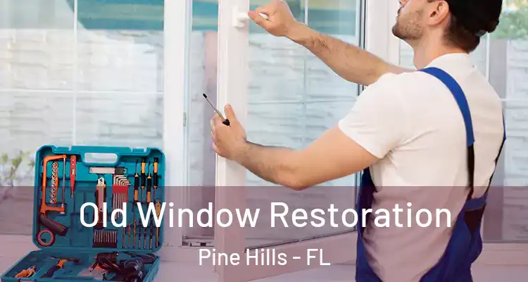  Old Window Restoration Pine Hills - FL