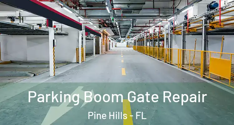  Parking Boom Gate Repair Pine Hills - FL