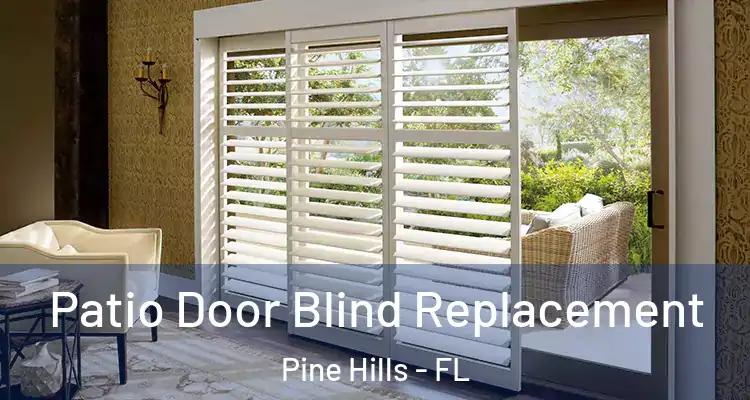  Patio Door Blind Replacement Pine Hills - FL