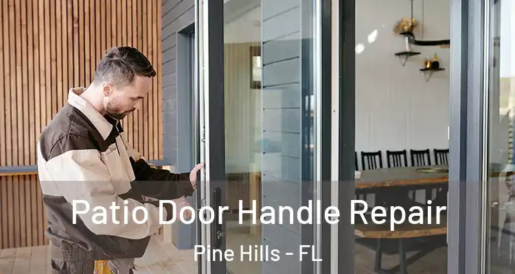  Patio Door Handle Repair Pine Hills - FL