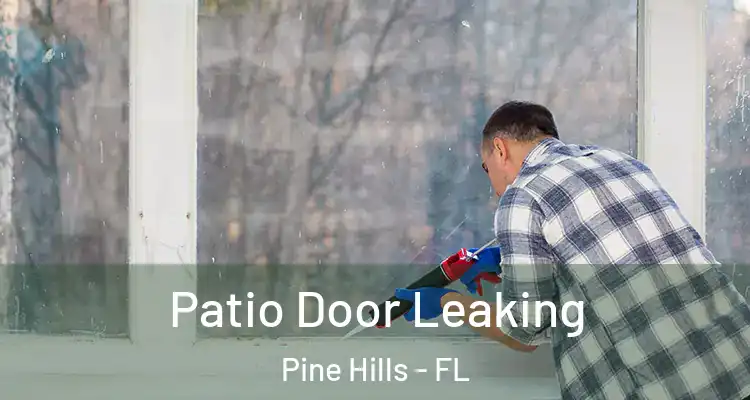  Patio Door Leaking Pine Hills - FL