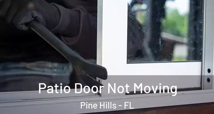  Patio Door Not Moving Pine Hills - FL