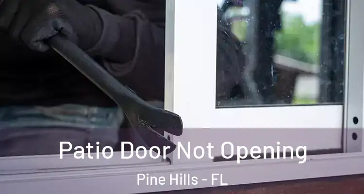  Patio Door Not Opening Pine Hills - FL