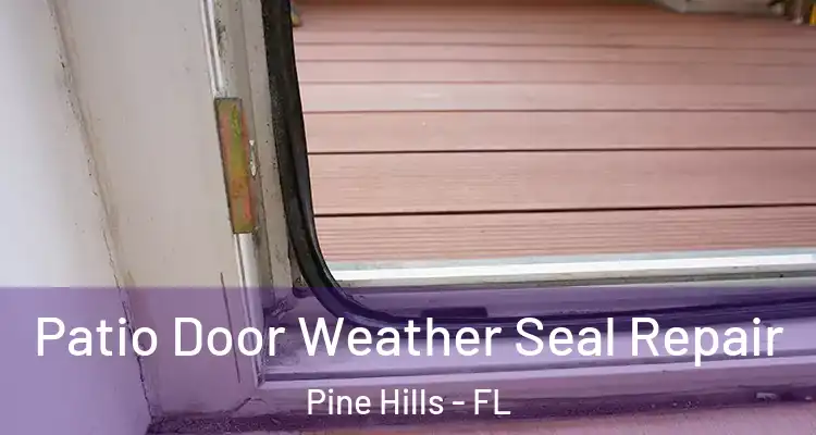  Patio Door Weather Seal Repair Pine Hills - FL