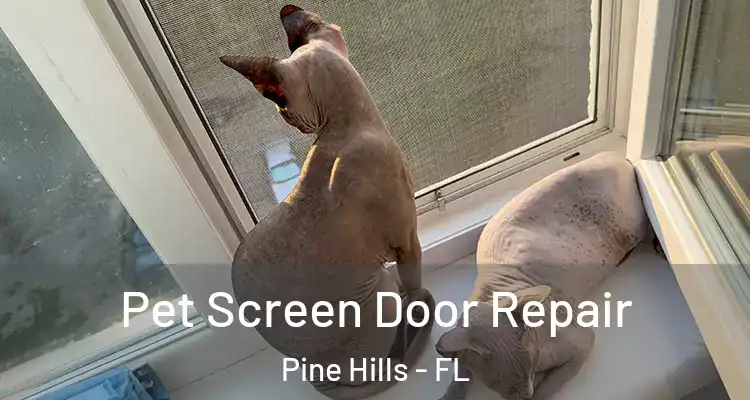  Pet Screen Door Repair Pine Hills - FL