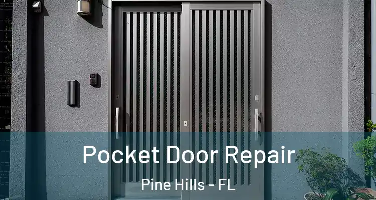 Pocket Door Repair Pine Hills - FL