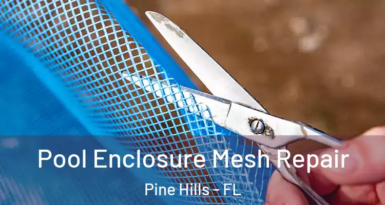  Pool Enclosure Mesh Repair Pine Hills - FL