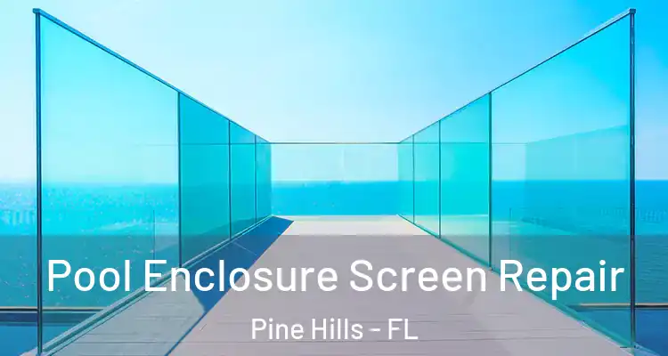  Pool Enclosure Screen Repair Pine Hills - FL