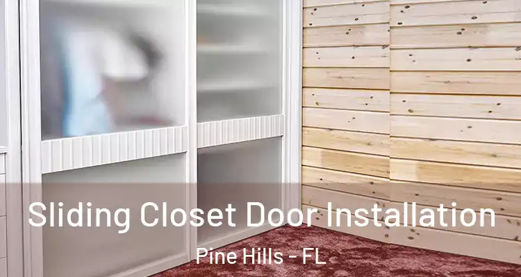  Sliding Closet Door Installation Pine Hills - FL