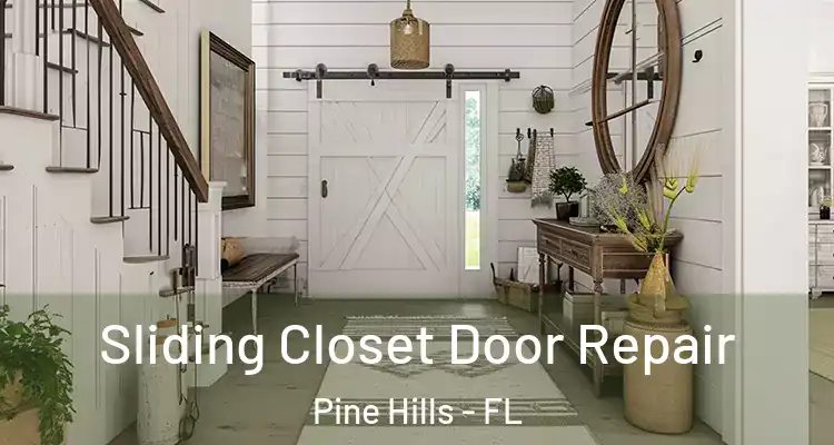  Sliding Closet Door Repair Pine Hills - FL