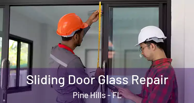  Sliding Door Glass Repair Pine Hills - FL