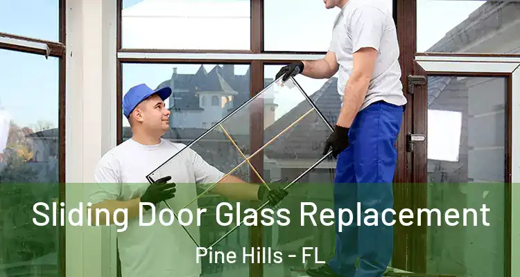  Sliding Door Glass Replacement Pine Hills - FL