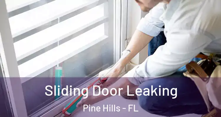  Sliding Door Leaking Pine Hills - FL